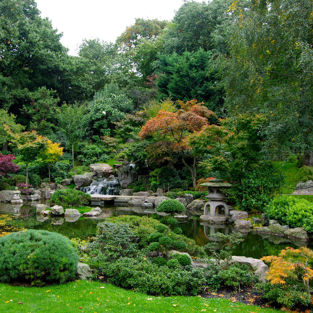 Portland Japanese Garden Botanic Garden