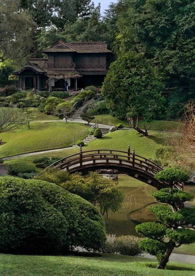 Japanese Garden Plants Gardening Tips