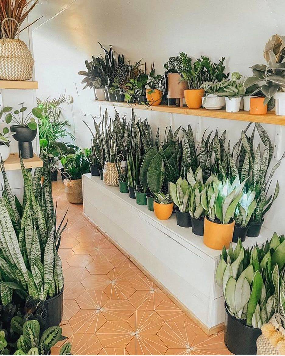 Homelysmart Indoor Garden Ideas You Will Fall For Homelysmart