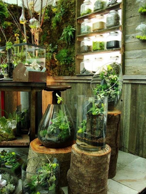 Your Dream Indoor Garden Ideas