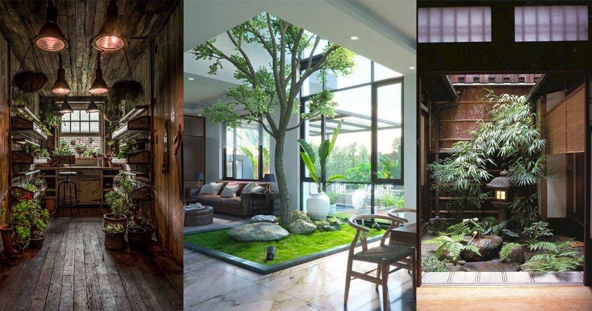 Your Dream Indoor Garden Ideas