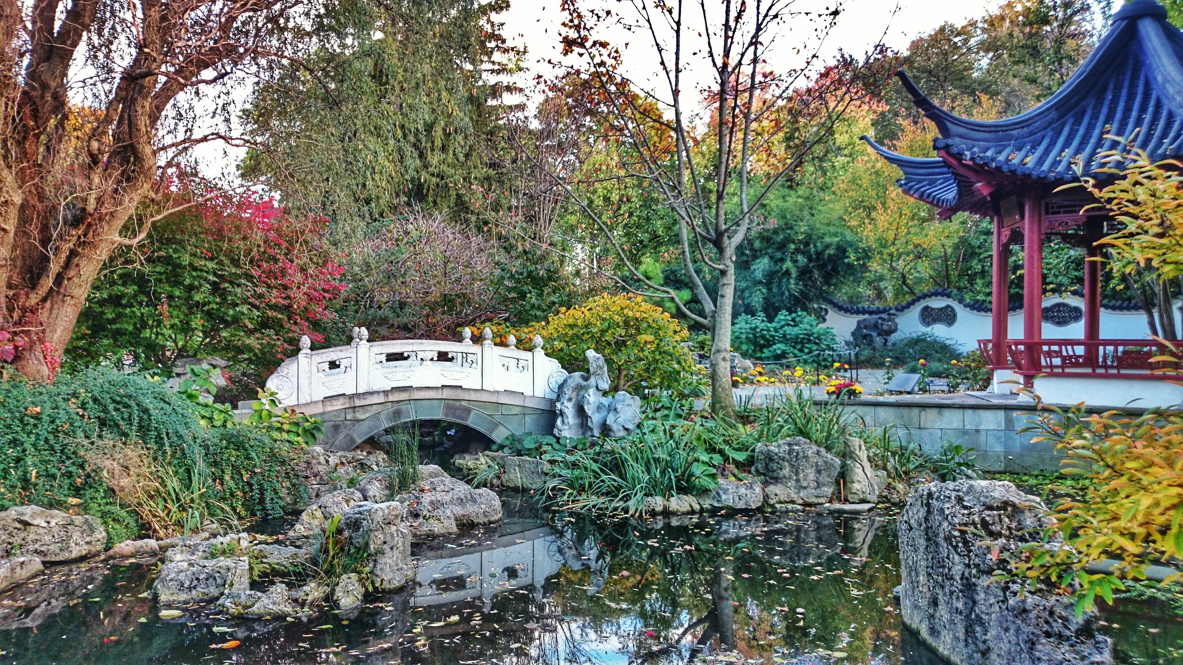 Chinese Scholar Garden Un