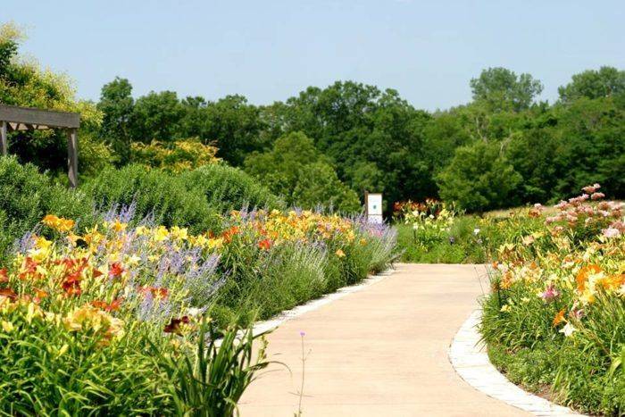 Missouri Botanical Garden Plant Finder Field Trial Results