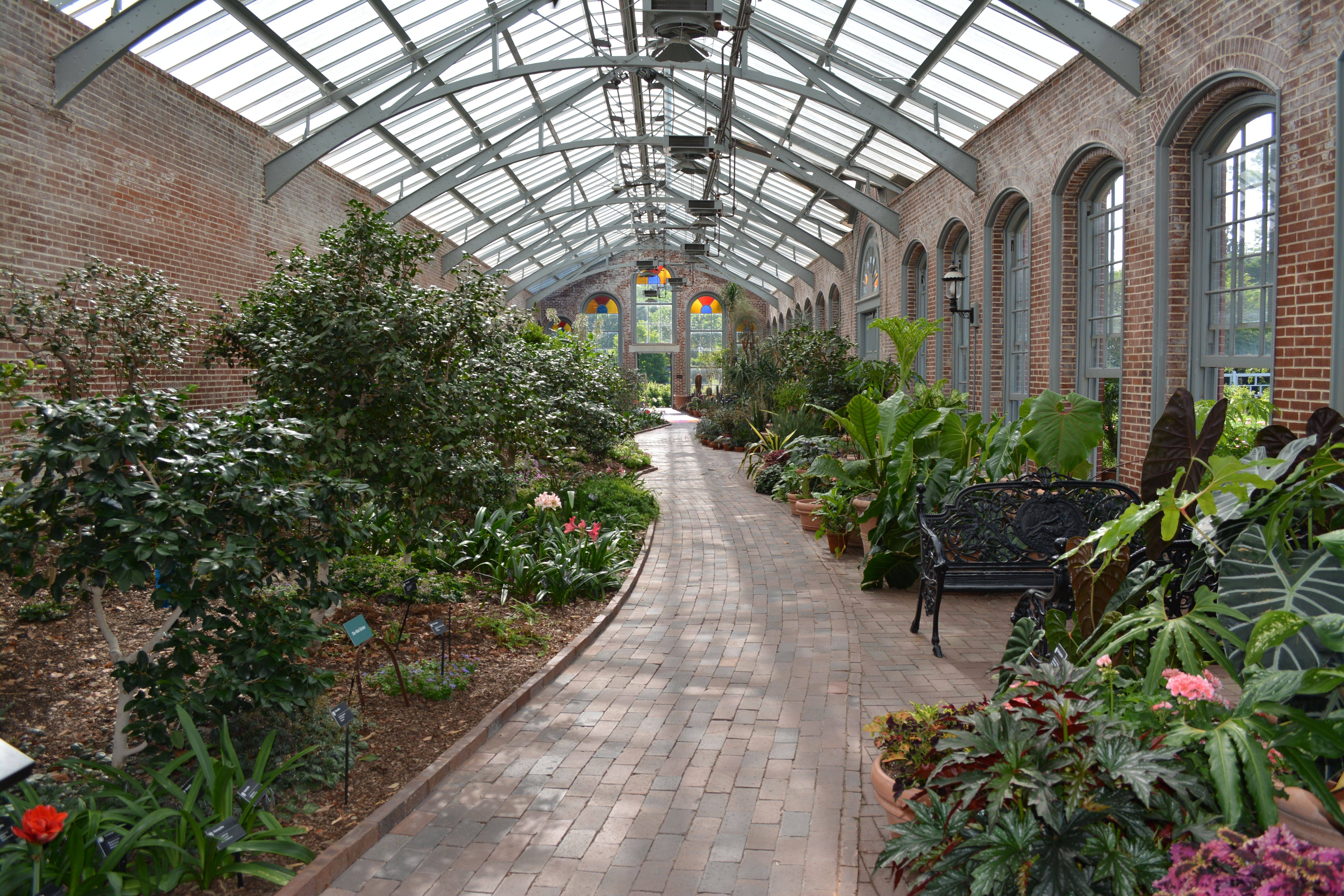 Missouri Botanical Garden Plant Finder Database Gardenpicdesign