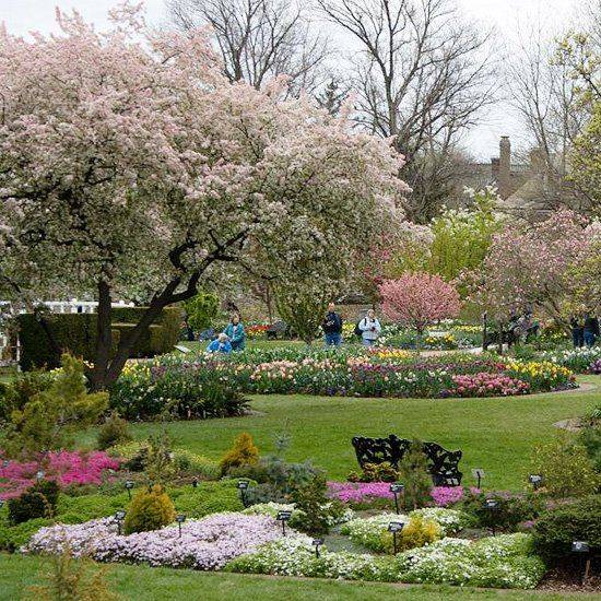 Missouri Botanical Garden Pond Landscaping