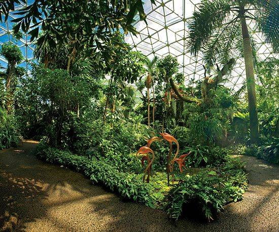 The Missouri Botanical Garden