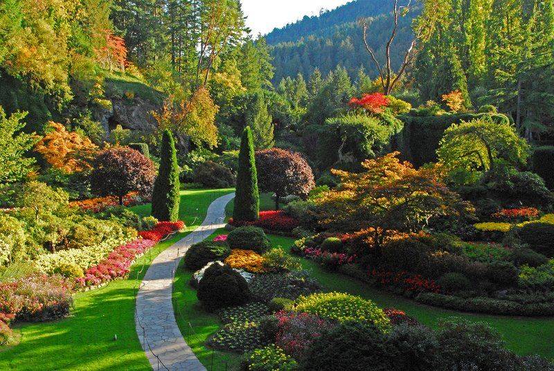 Edinburgh Botanical Gardens Garden