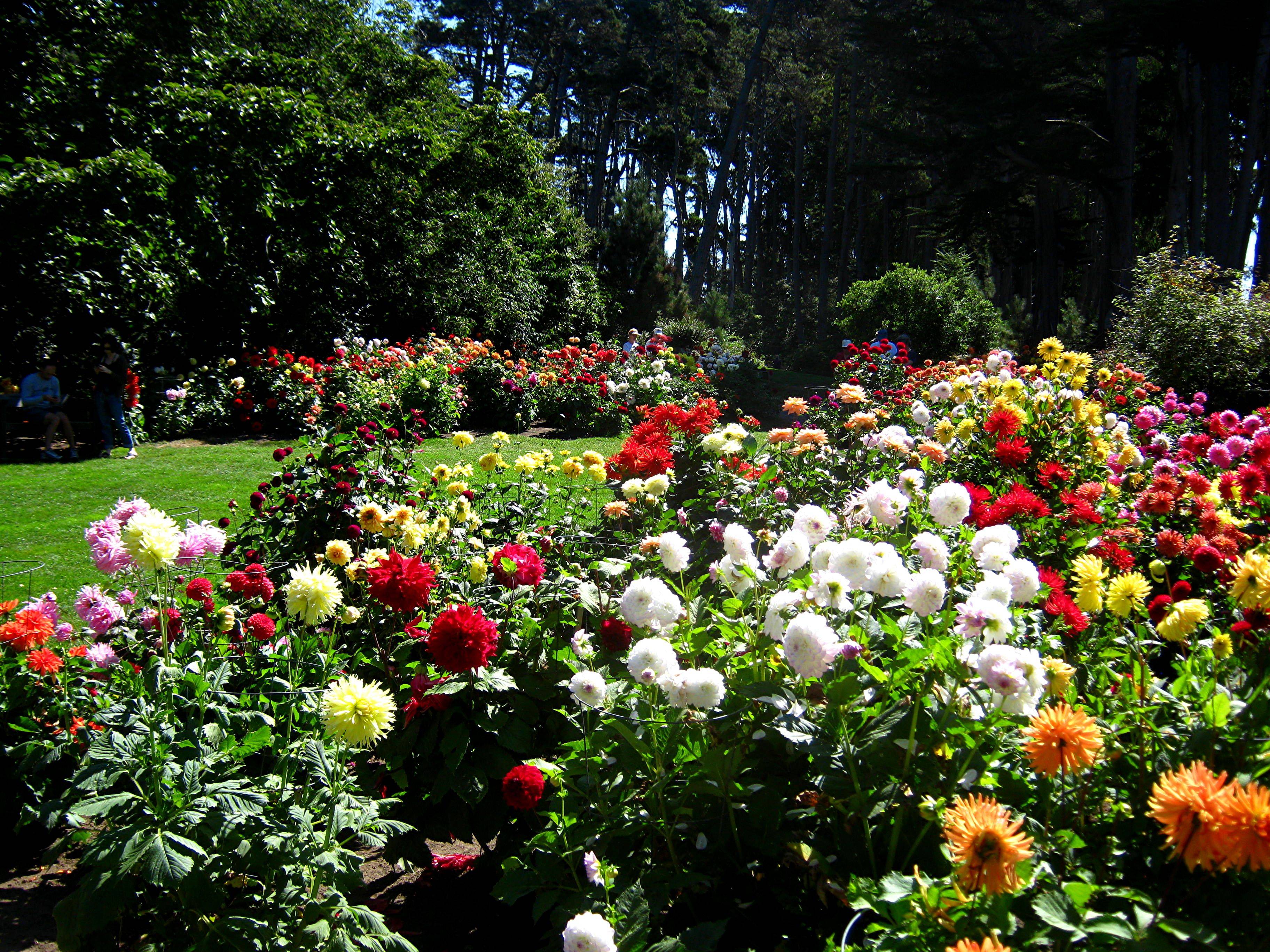 Mendocino Coast Botanical Gardens