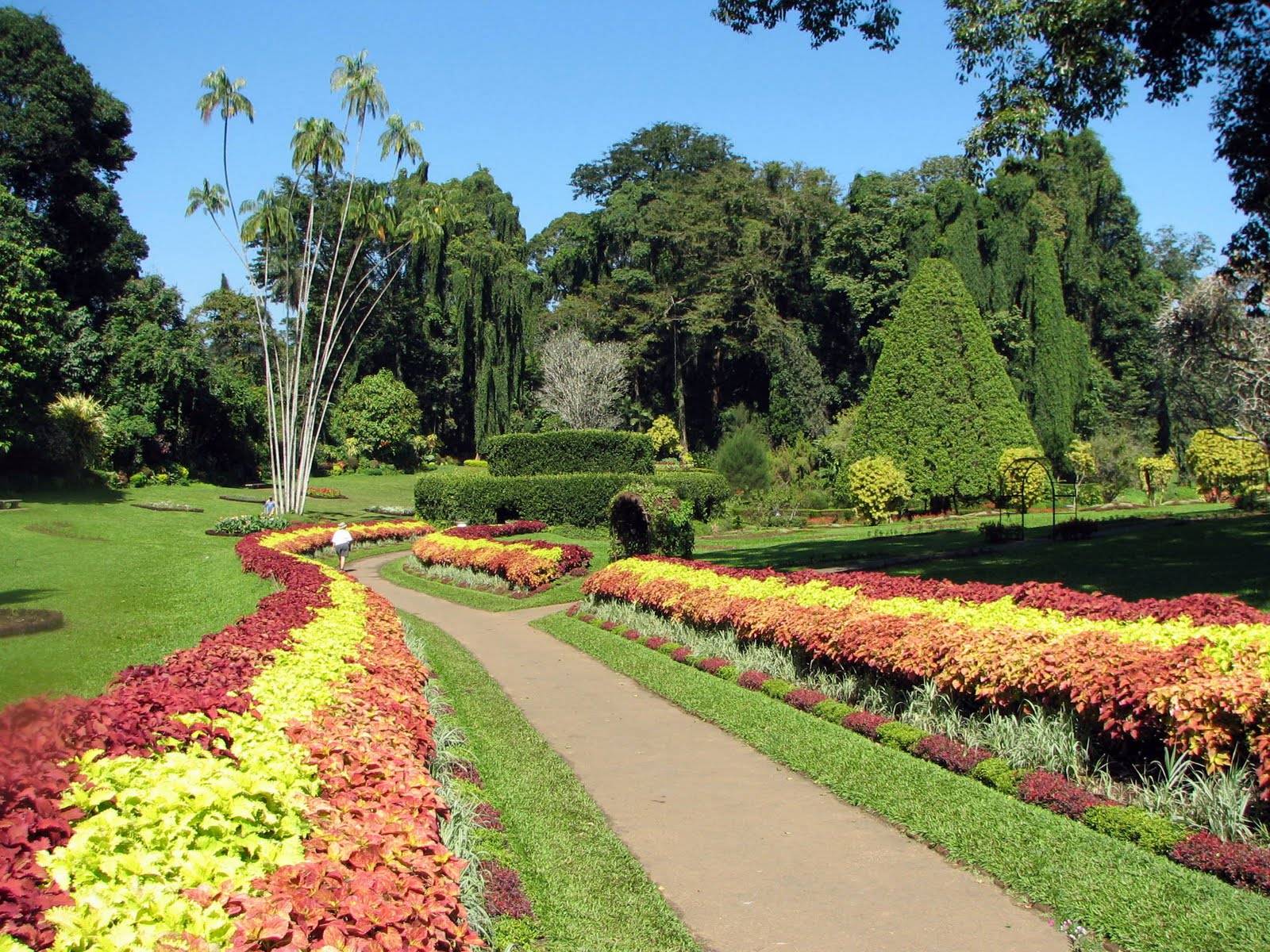 Atlanta Botanical Garden