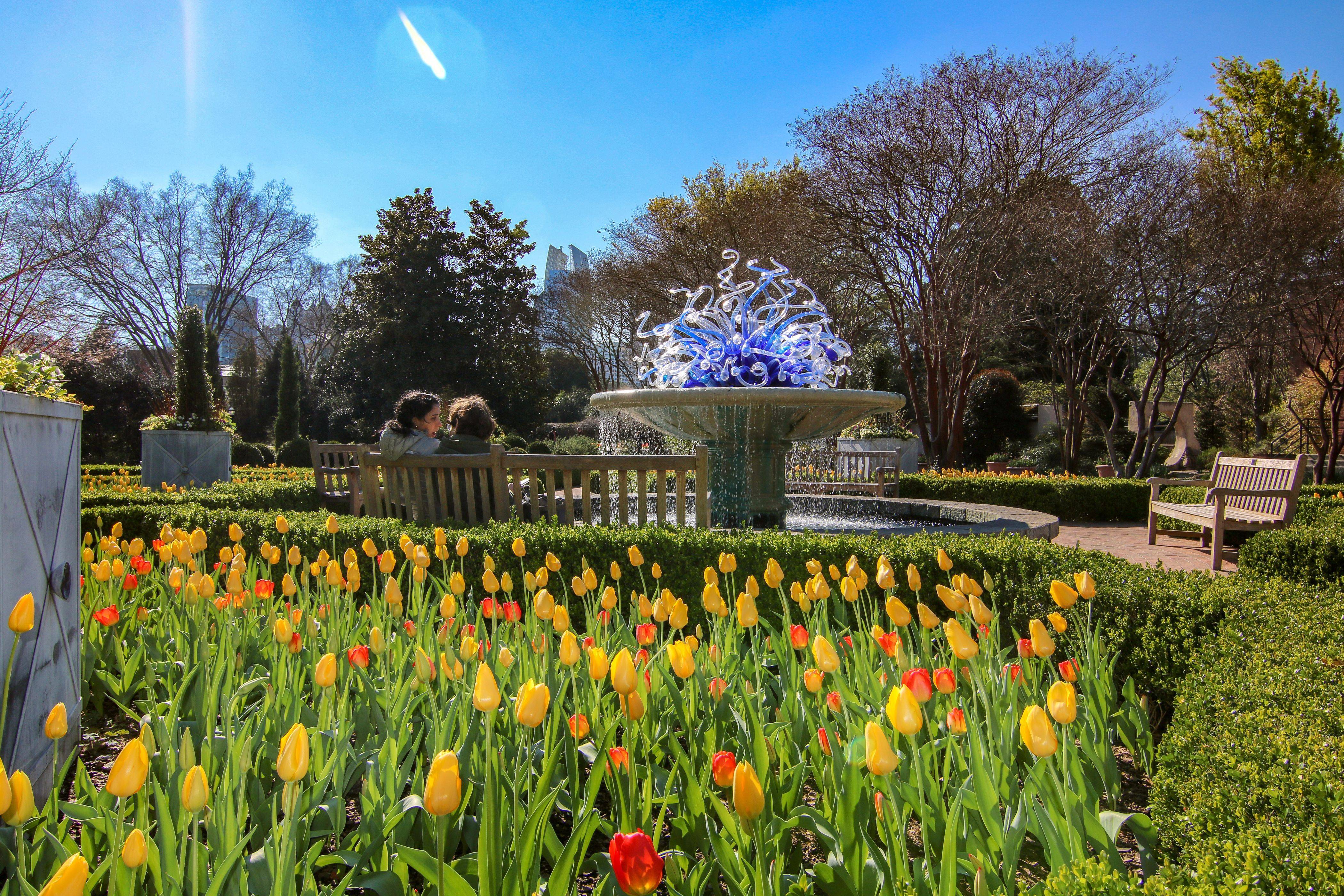 Breathtaking Botanical Gardens