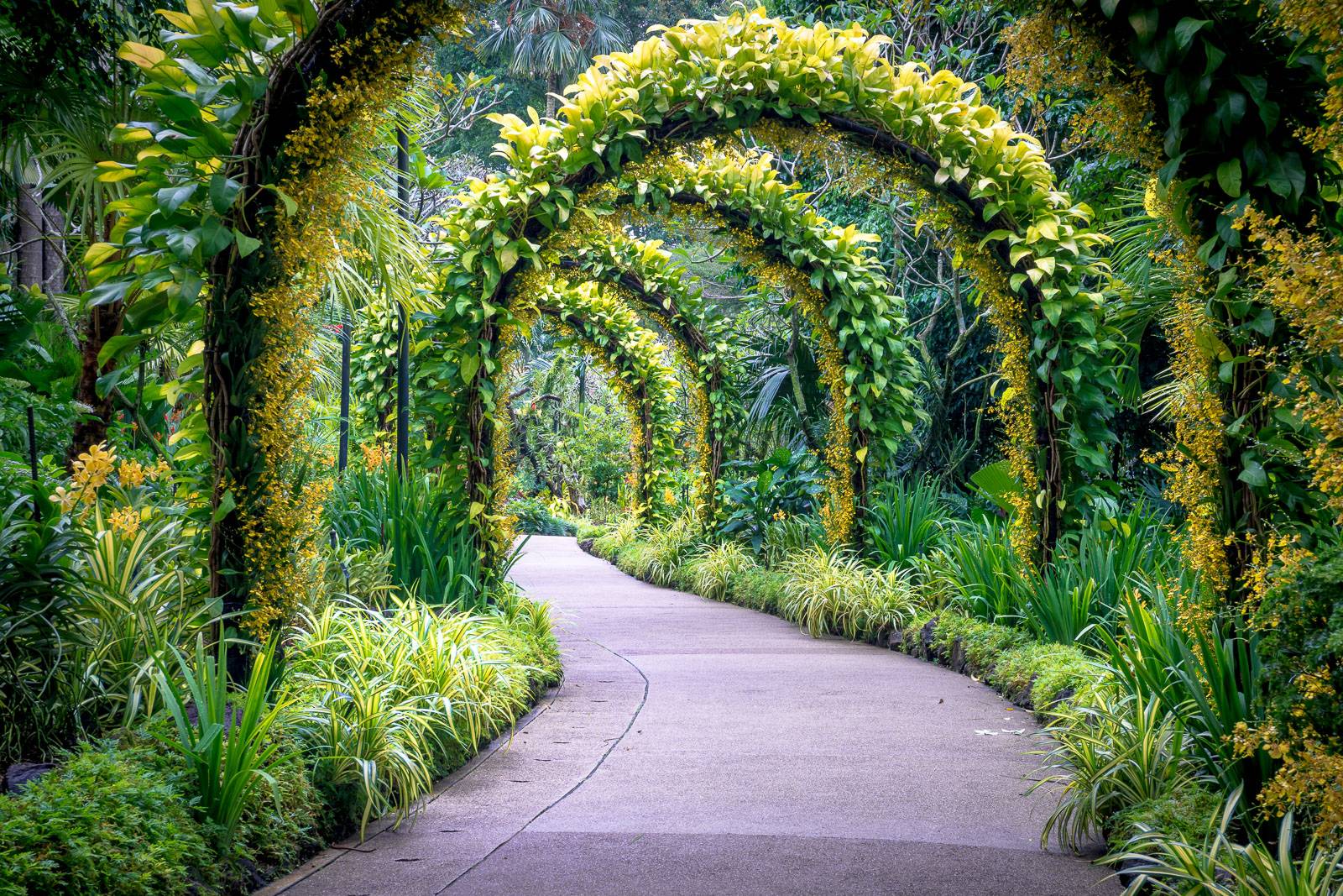 Friendship Botanic Gardens To Open May St Panoramanow Entertainment News