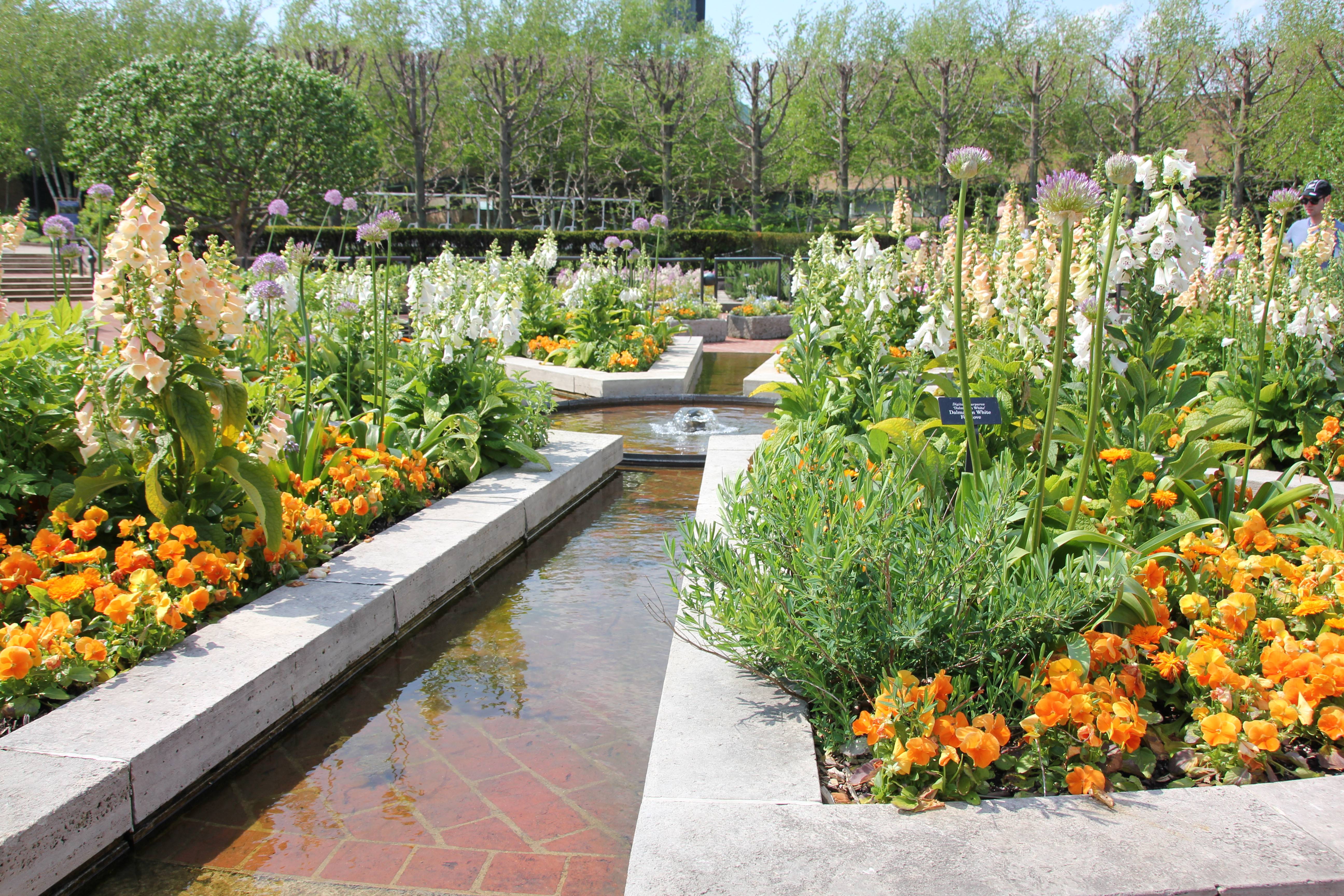 Royal Botanical Gardens Rbg Attractions Ontario