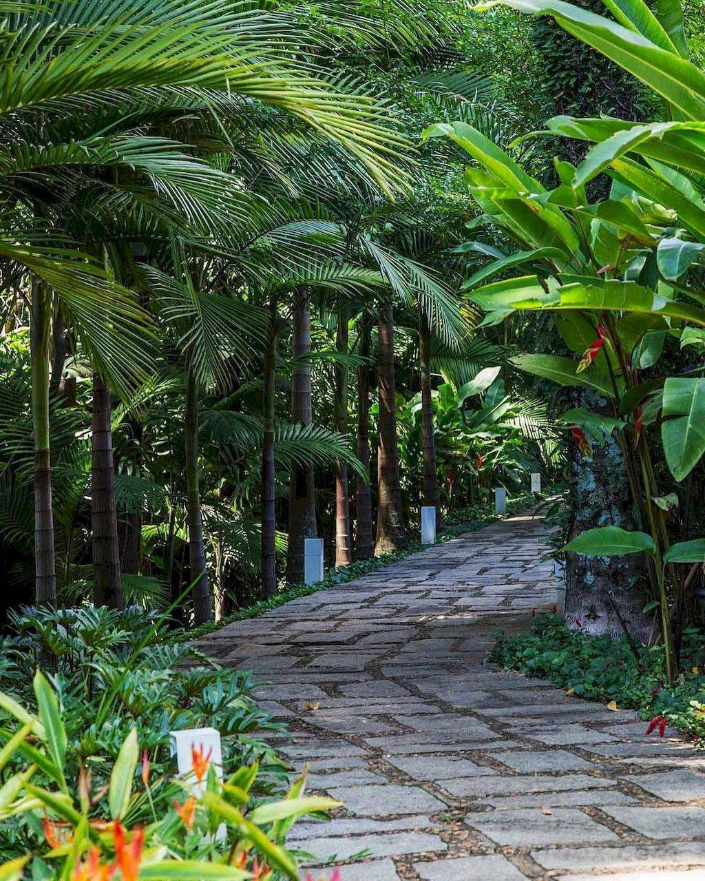 Lovely Tropical Garden Design Ideas
