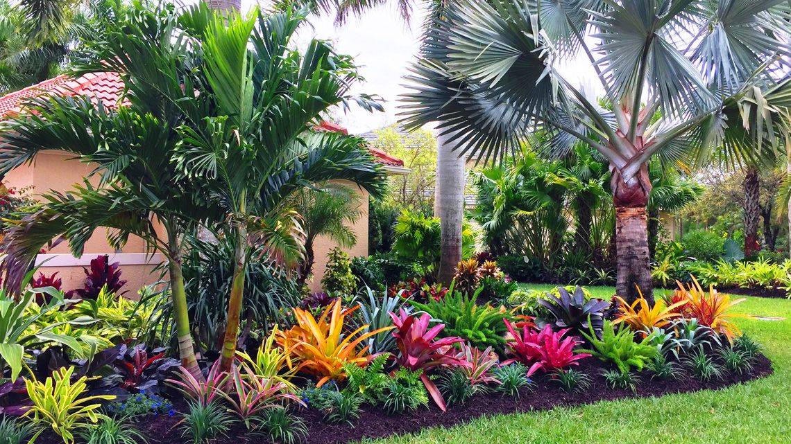 Central Florida Tropical Garden Design