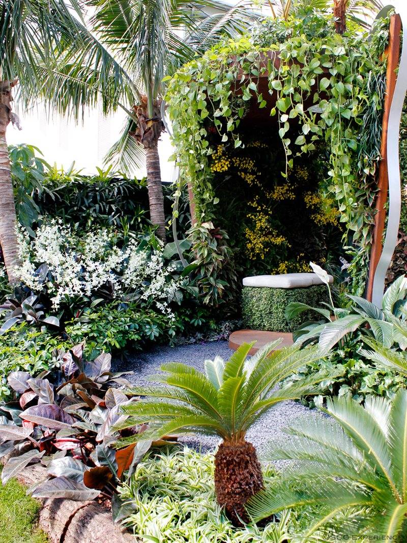 Central Florida Tropical Garden Design