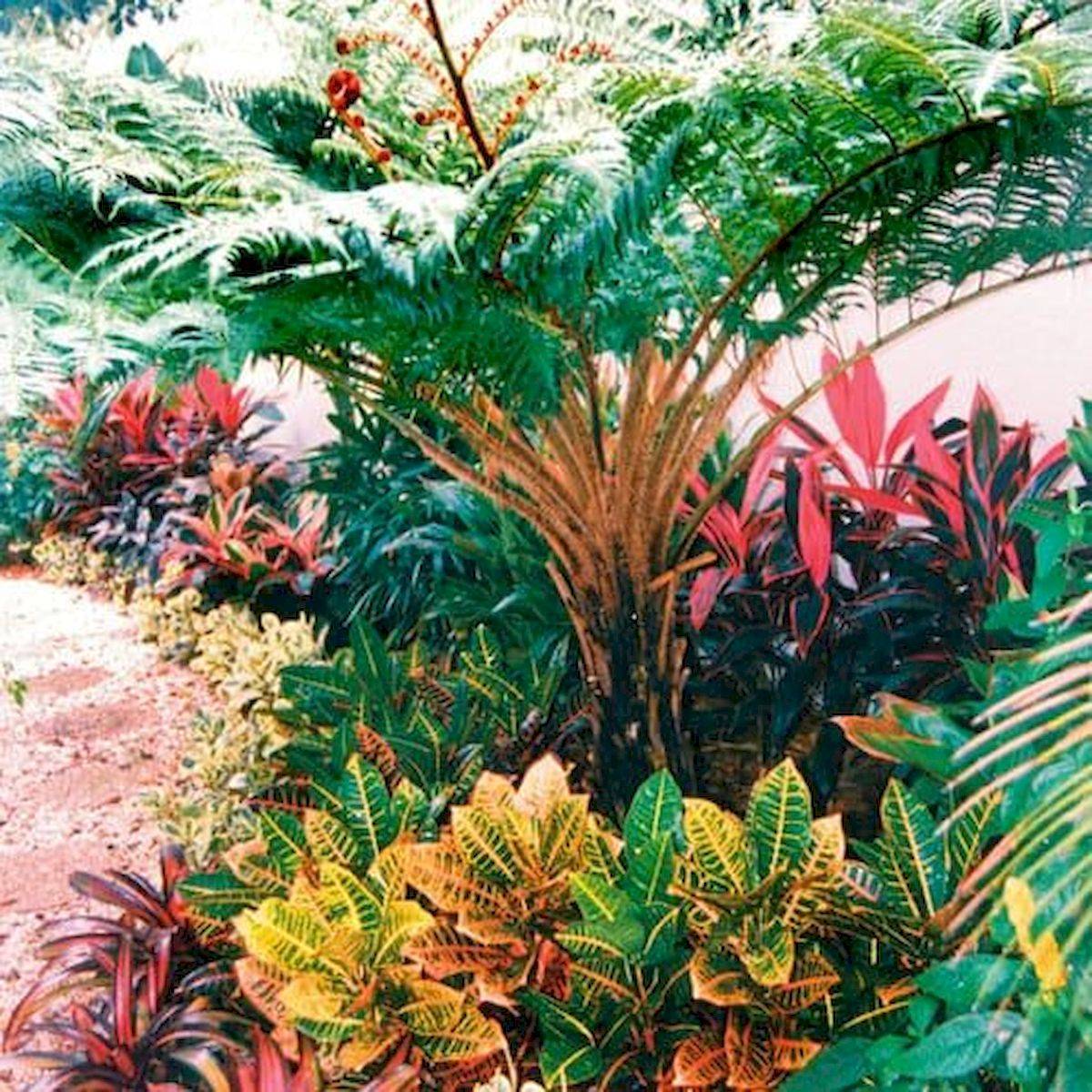 These Tropical Garden Design Ideas
