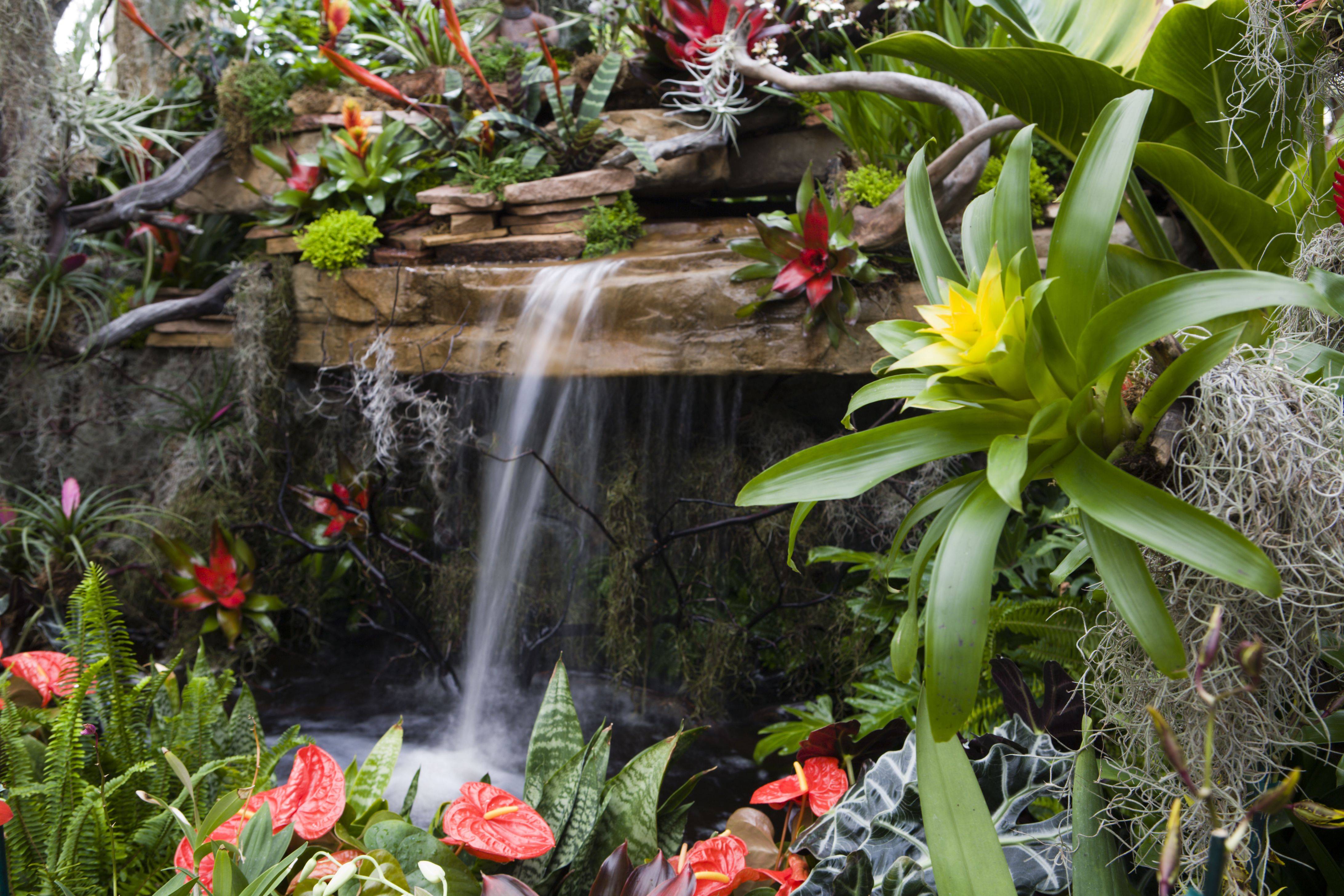 Tropical Flower Garden Design Ideas