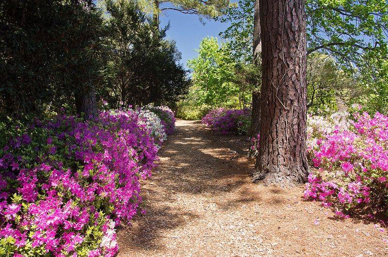 Norfolk Botanical Gardens