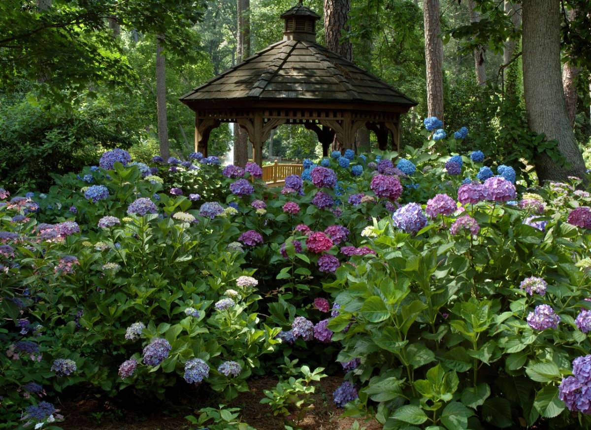 Norfolk Botanical Garden