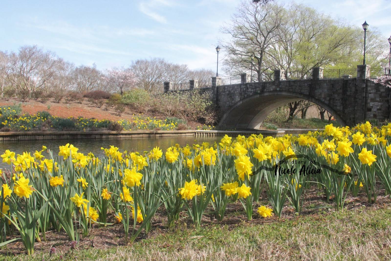 Norfolk Botanical Garden Botanical Gardens