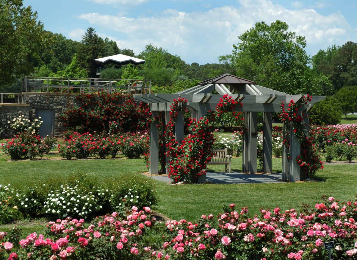 Norfolk Botanical Garden Botanical Gardens Botanical Garden