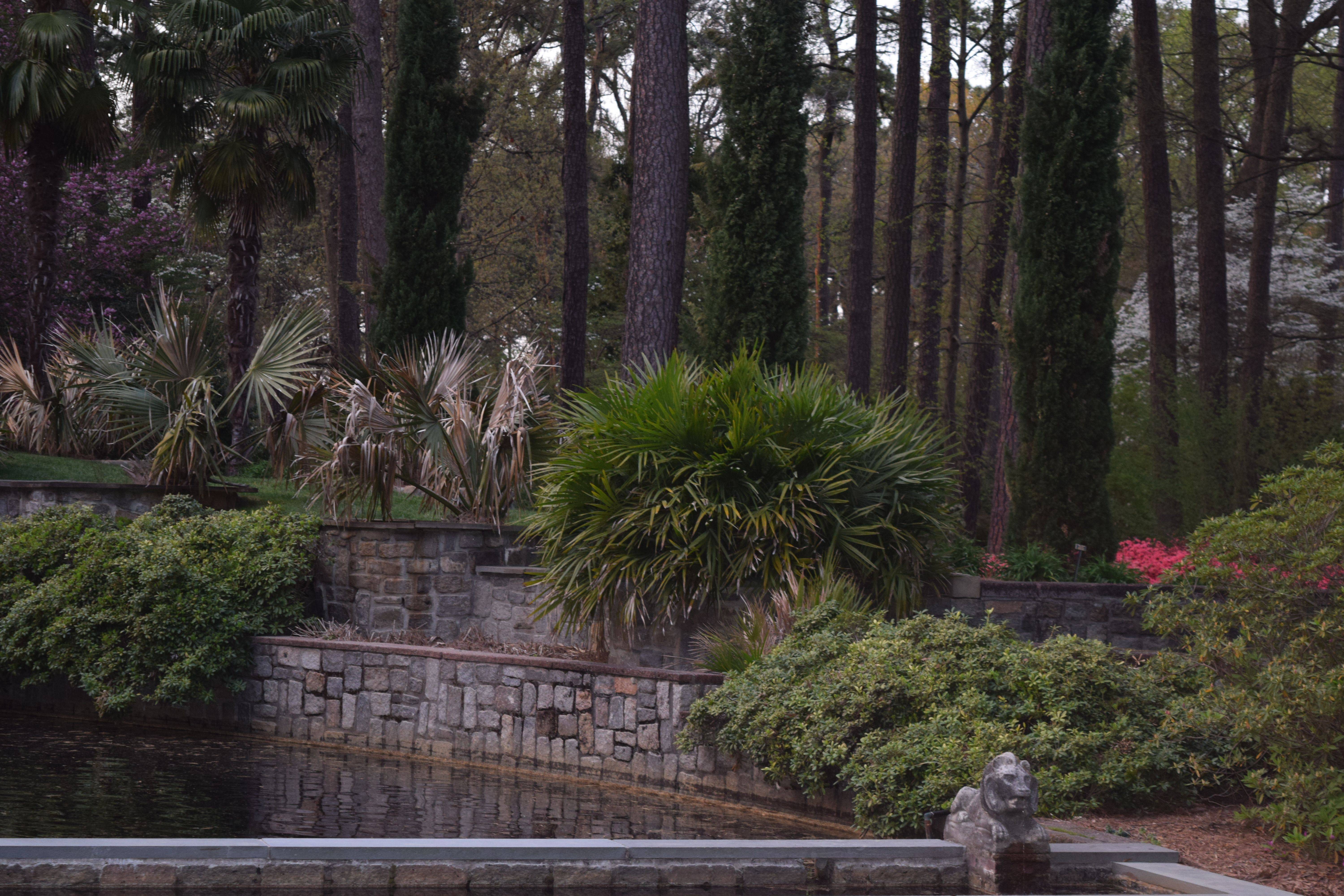 Norfolk Botanical Garden
