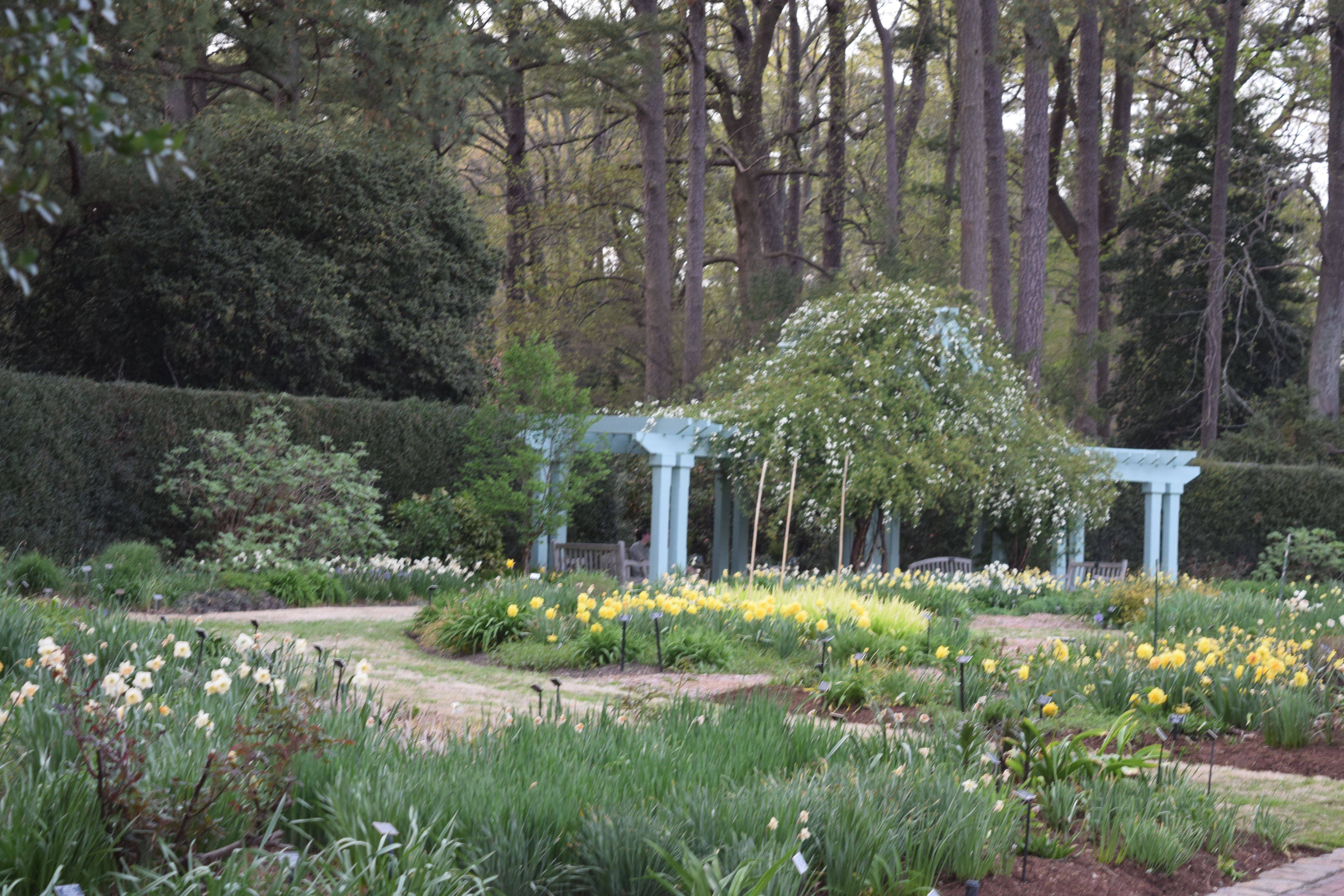 Norfolk Botanical Gardens Wedding