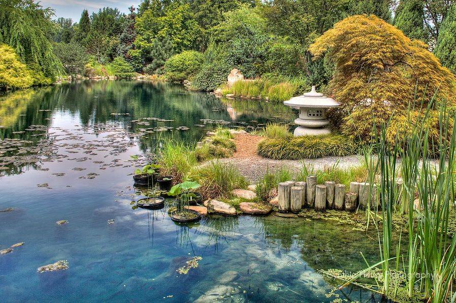 Norfolk Botanical Garden