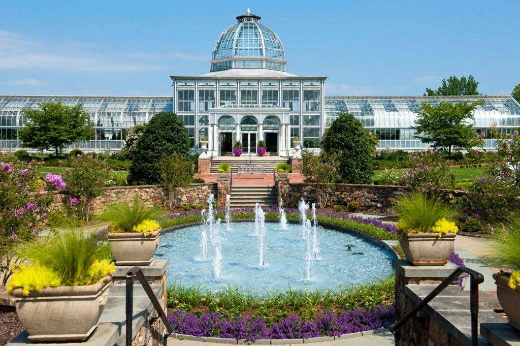 The Missouri Botanic Garden