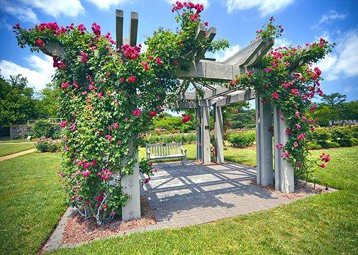 Lewis Ginter Botanical Garden