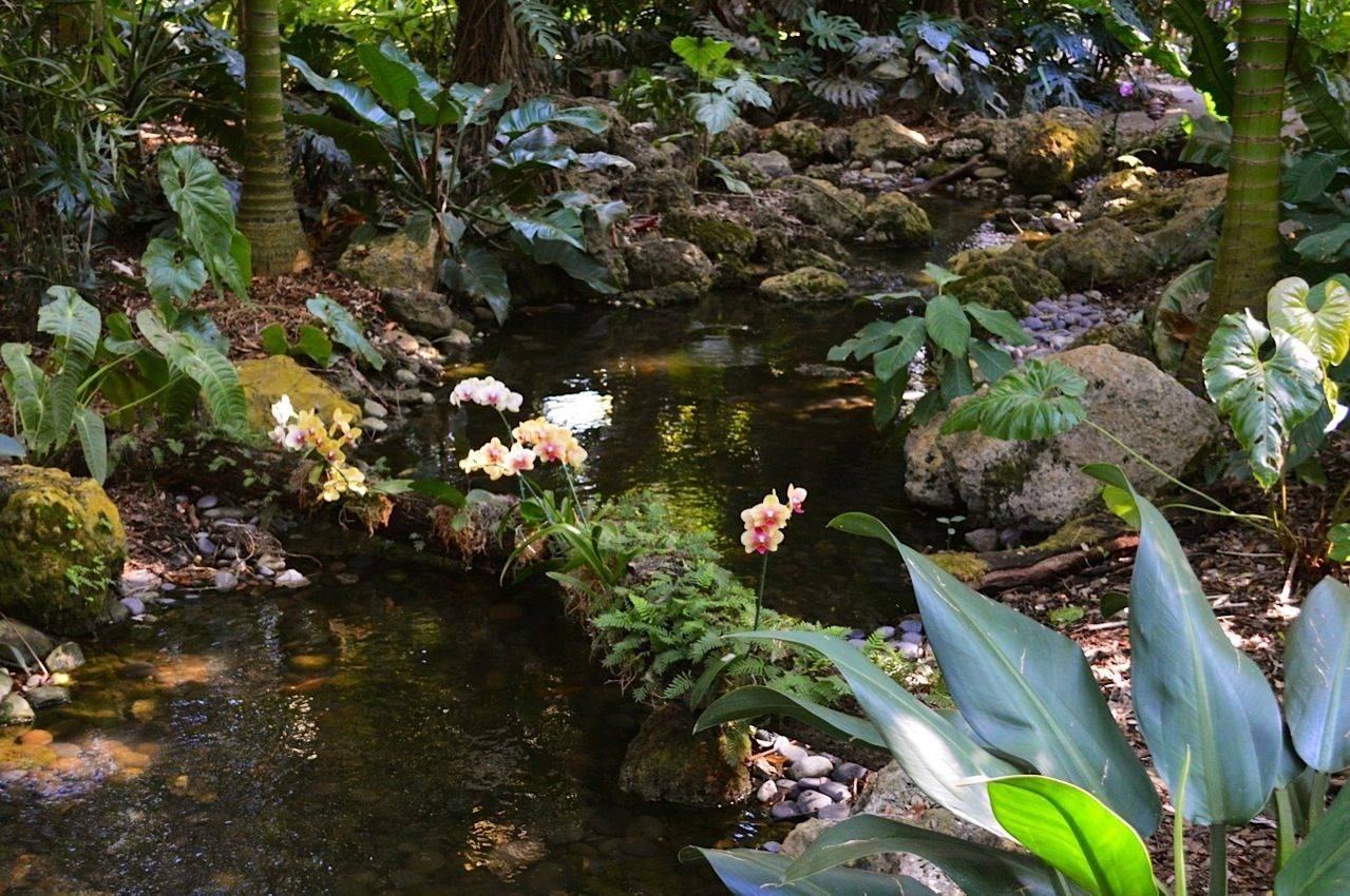 Fairchild Tropical Botanic Garden