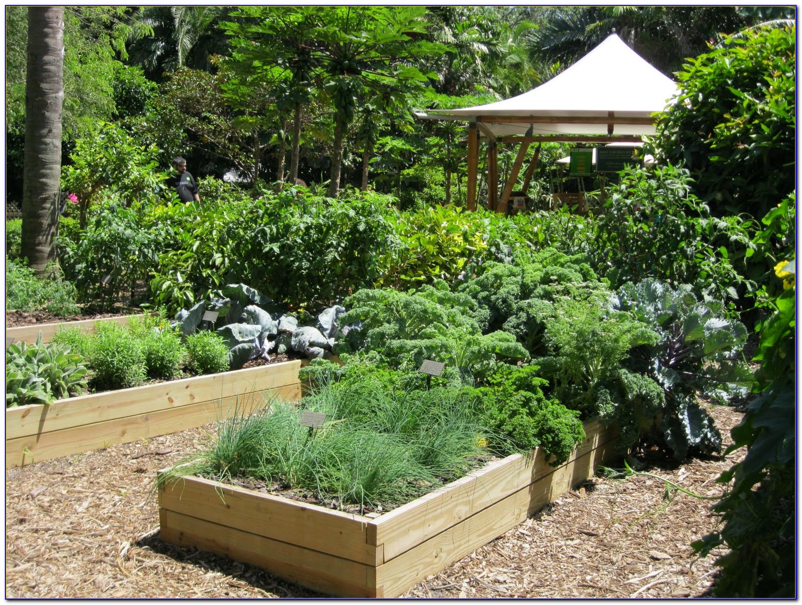 Garden Design
