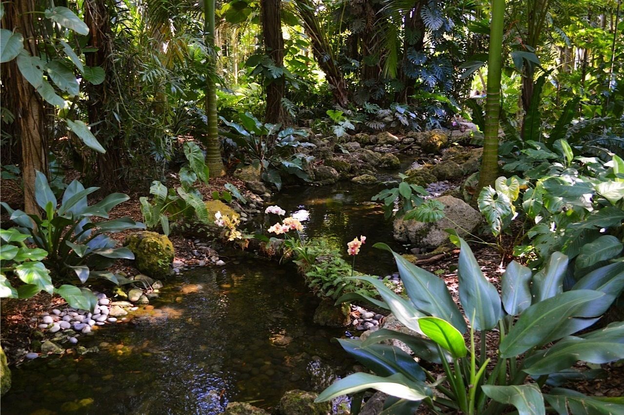 Fairchild Tropical Botanic Garden Bird Festival Garden