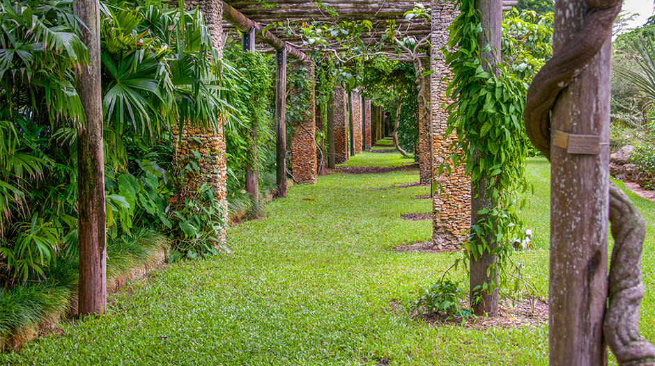 Fairchild Tropical Botanic Garden