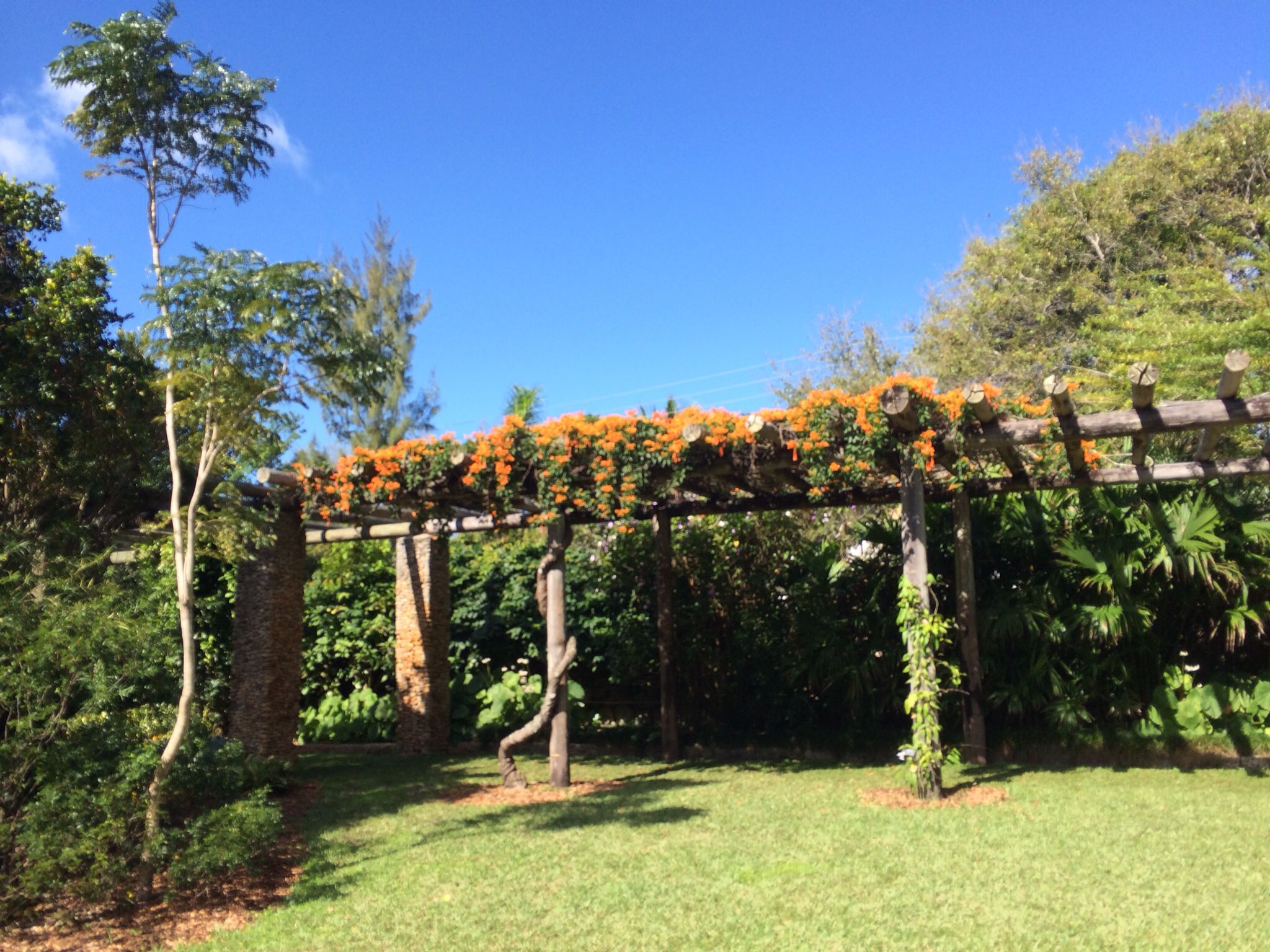 Fairchild Tropical Garden