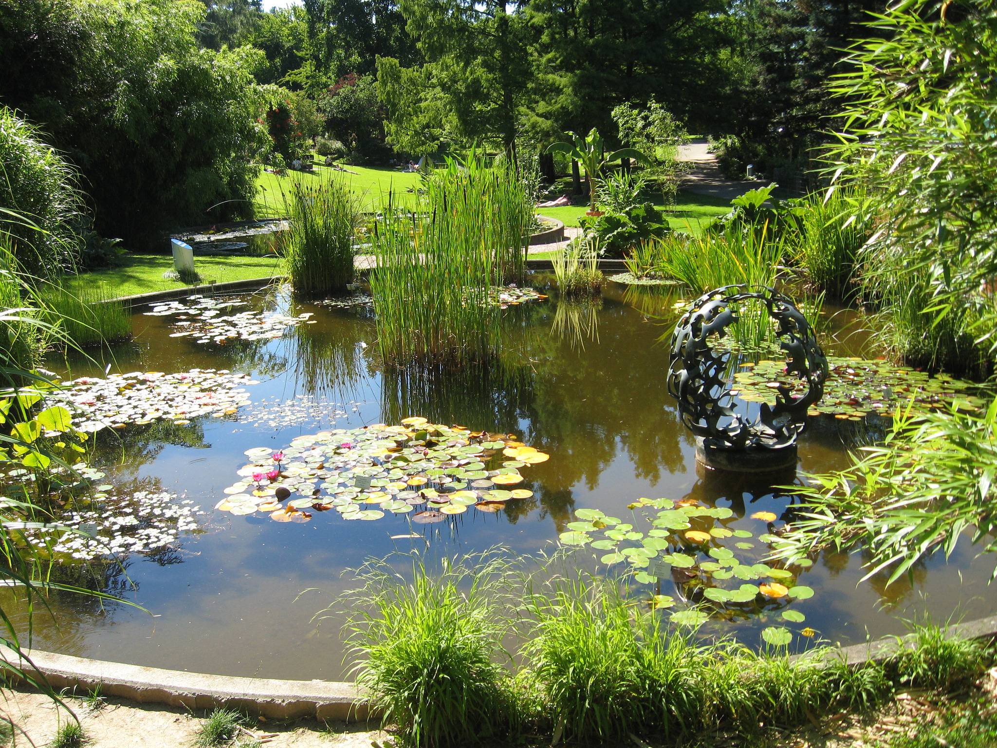 Botanic Garden Freiburg Youtube