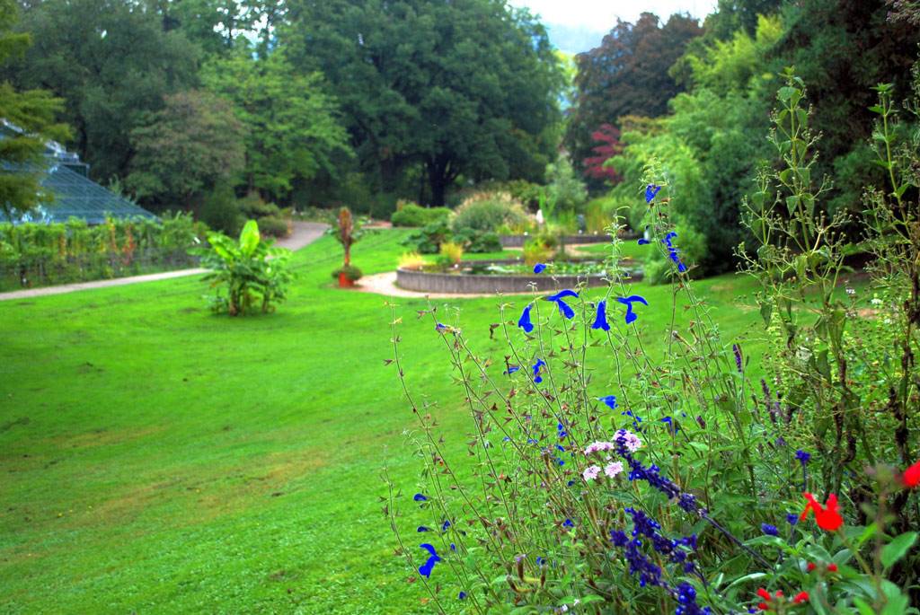 Germany Interior Design Ideas Avsoorg