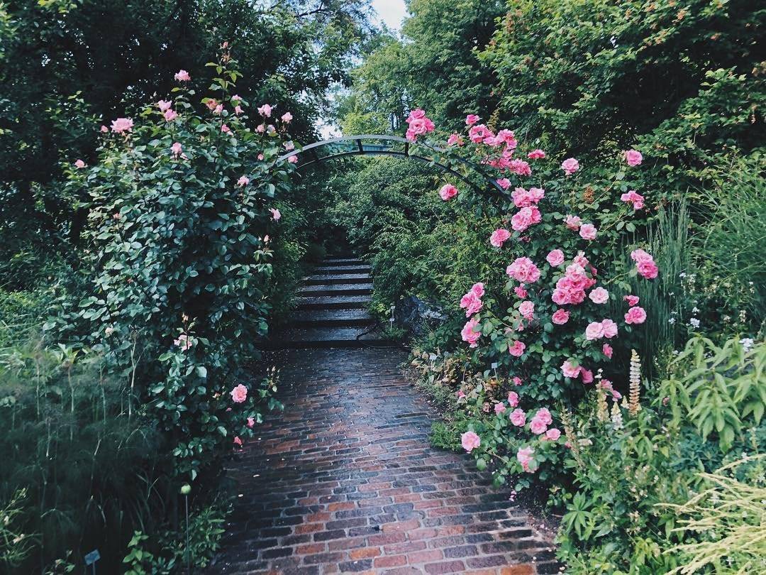 Botanischer Garten Freiburg Freiburg Badische Zeitung Ticket