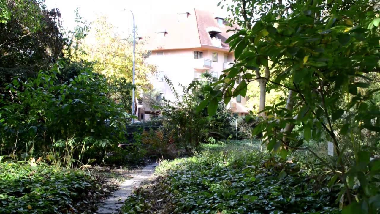 Der Botanische Garten Der Universitt Freiburg Ffnet Wieder Freiburg
