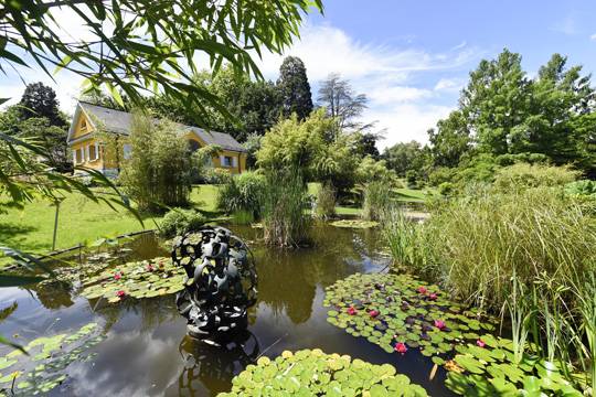 20 Freiburg Botanical Garden Ideas You Gonna Love SharonSable