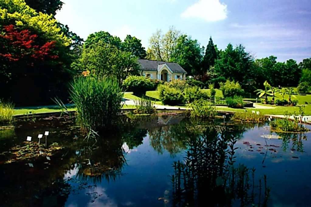 20 Freiburg Botanical Garden Ideas You Gonna Love SharonSable