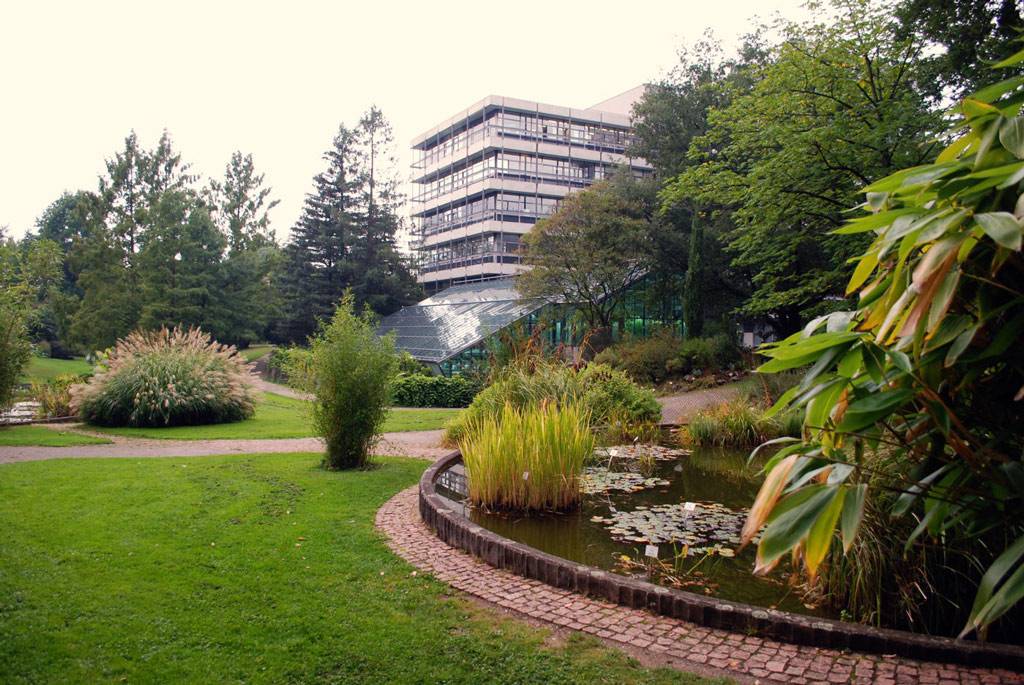 Freiburg Botanischer Garten Der Universitt