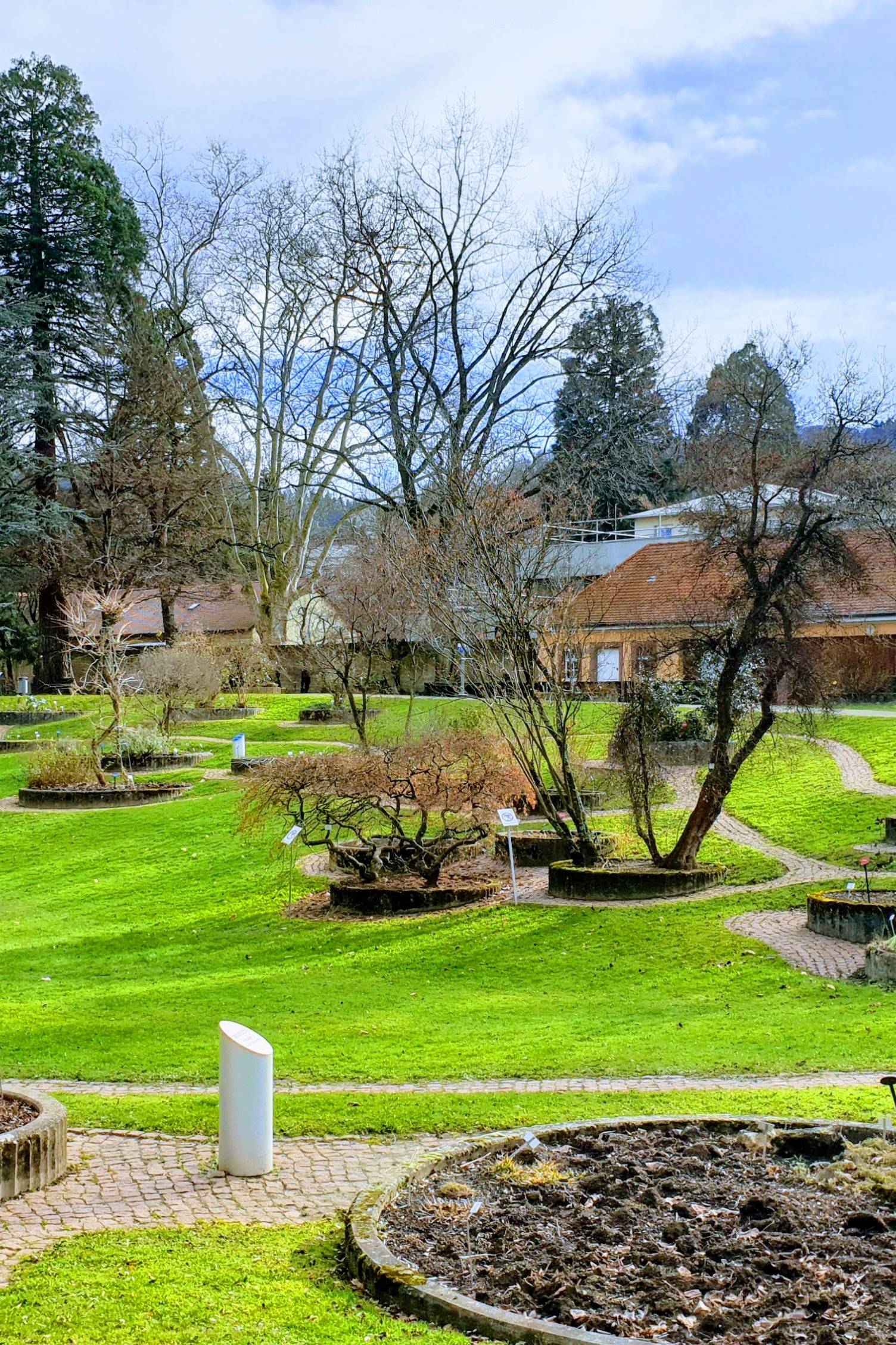 20 Freiburg Botanical Garden Ideas You Gonna Love SharonSable