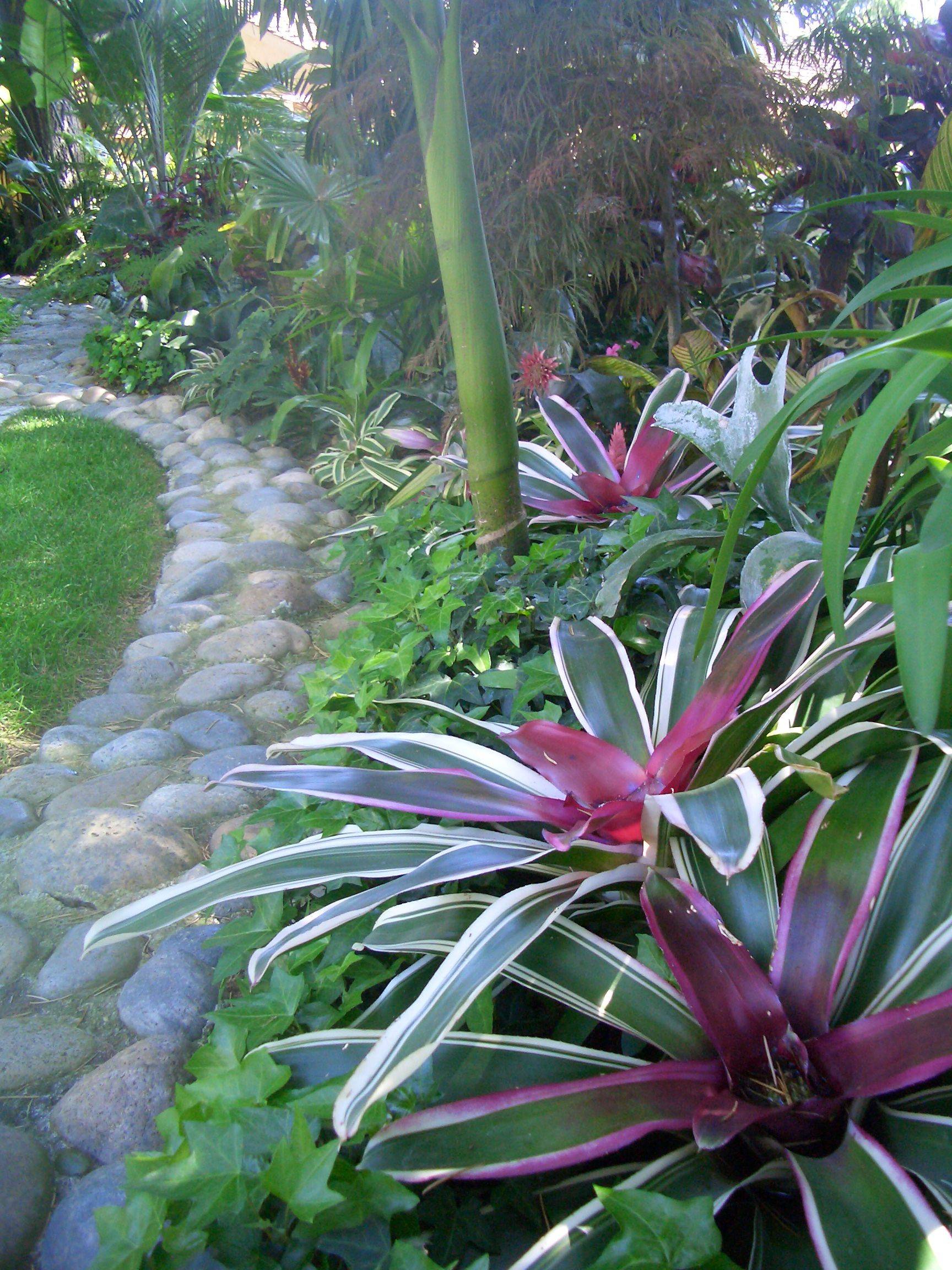 Brilliant Front Yard Landscaping