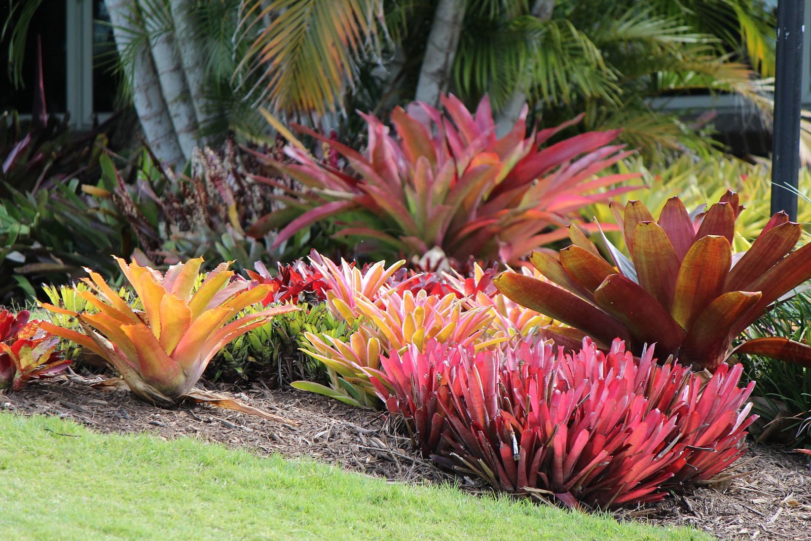 Gardening South Florida Style