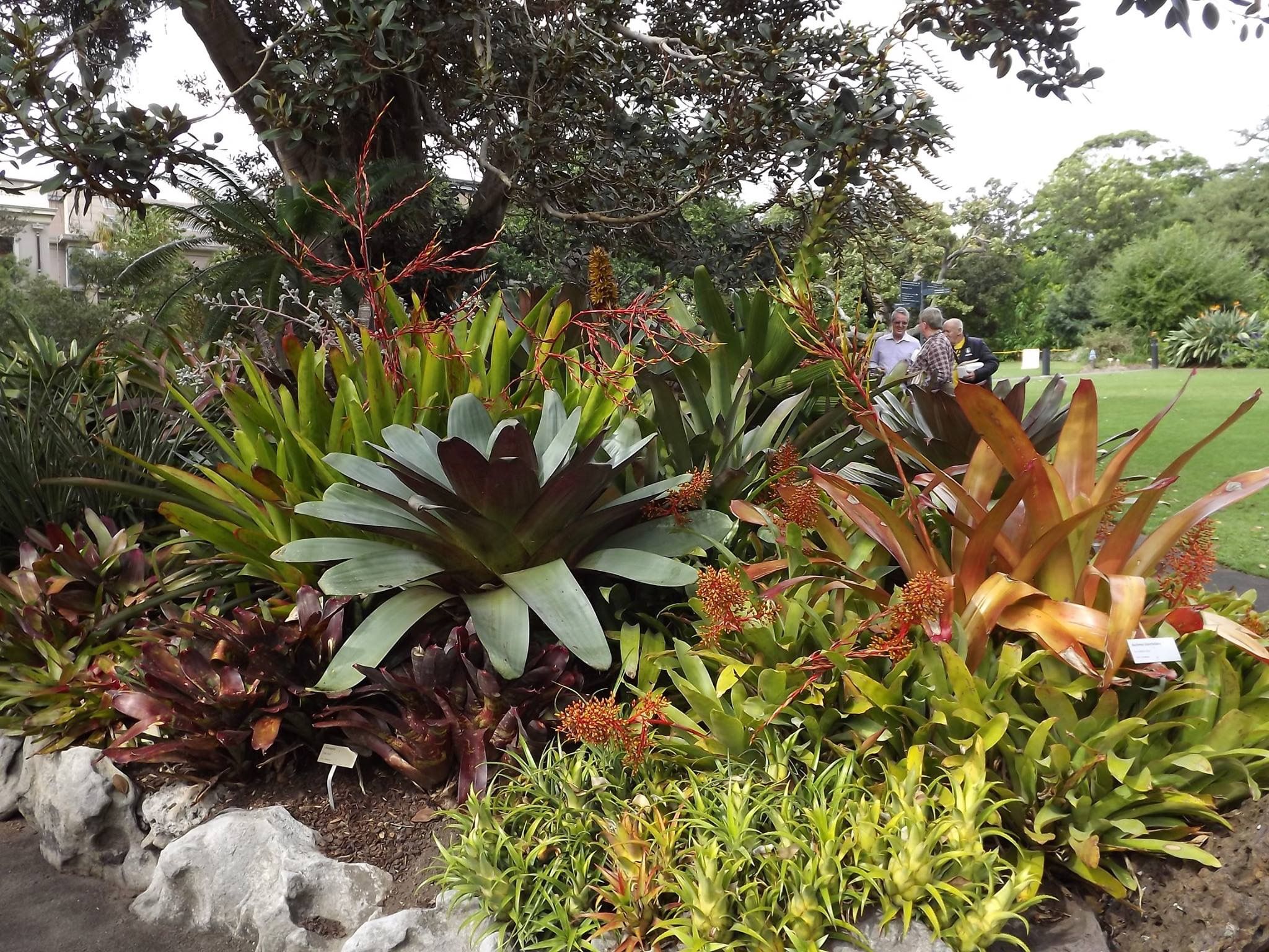 My Landscape