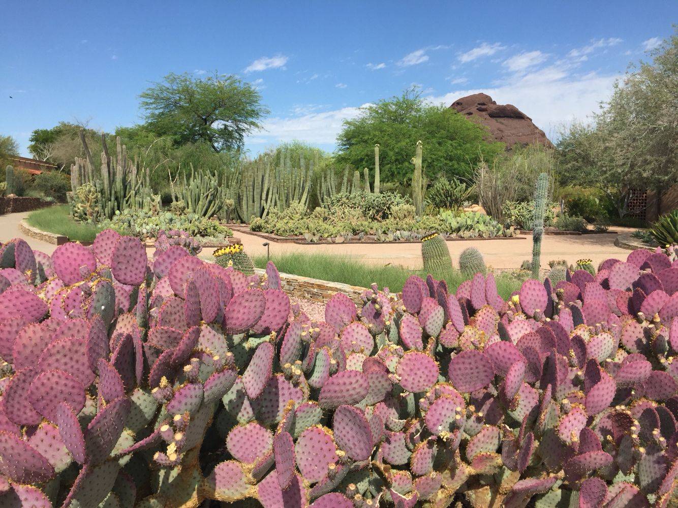 Phoenixscottsdale Wheretraveler