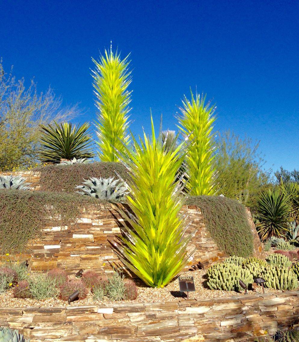 Desert Botanical Gardens Desert Botanical Garden