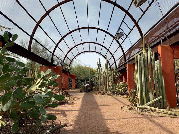 Phoenix Desert Botanical Gardens