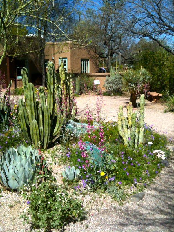 Botanical Garden Botanical Gardens